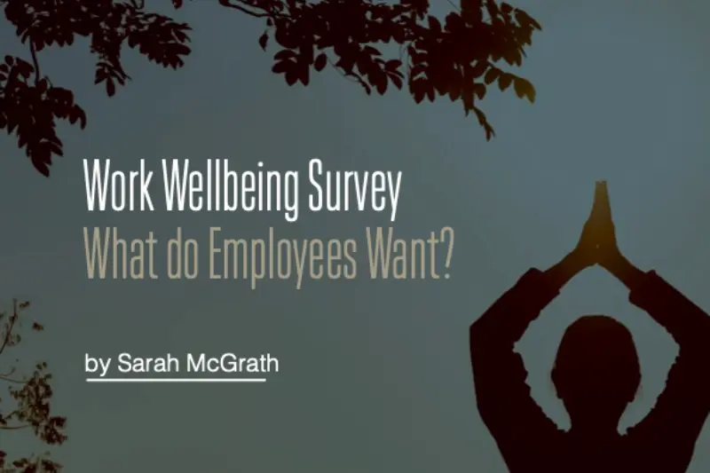 360 Search Work Wellbeing Survey 2024